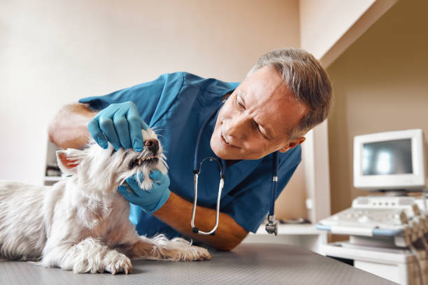  West Orange, TX Emergency Dentist Pros
